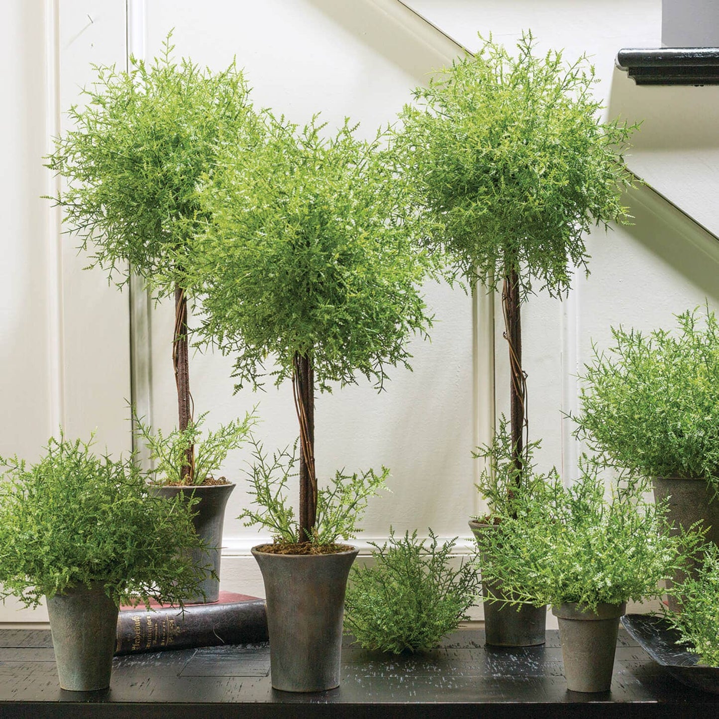 Feather Fern Topiary Set Of 3