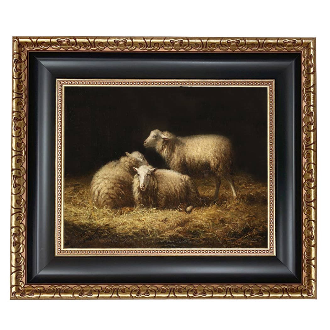 Sheep in the Hay Framed Painting Print on Canvas: Black Distressed / 8" x 10"