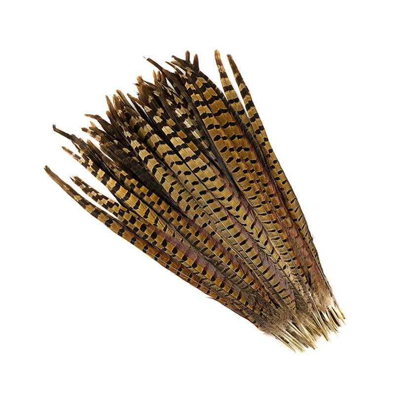10 PC/PKG Ringneck Pheasant Tails 16-18" - Natural