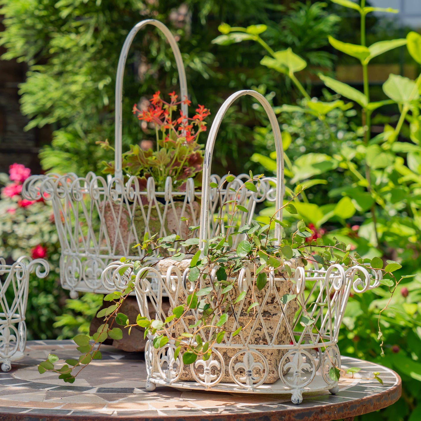 Decorative Garden Baskets Metal Wire- 3PC/Set - Options: Verdi Green