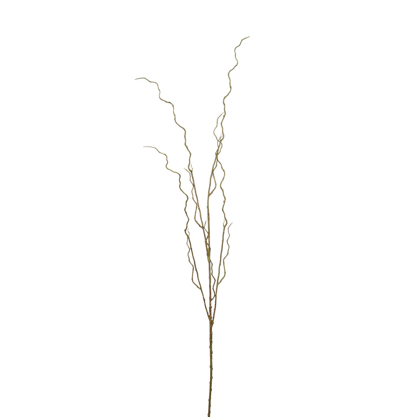 Curly Willow Branch - 51 Inch