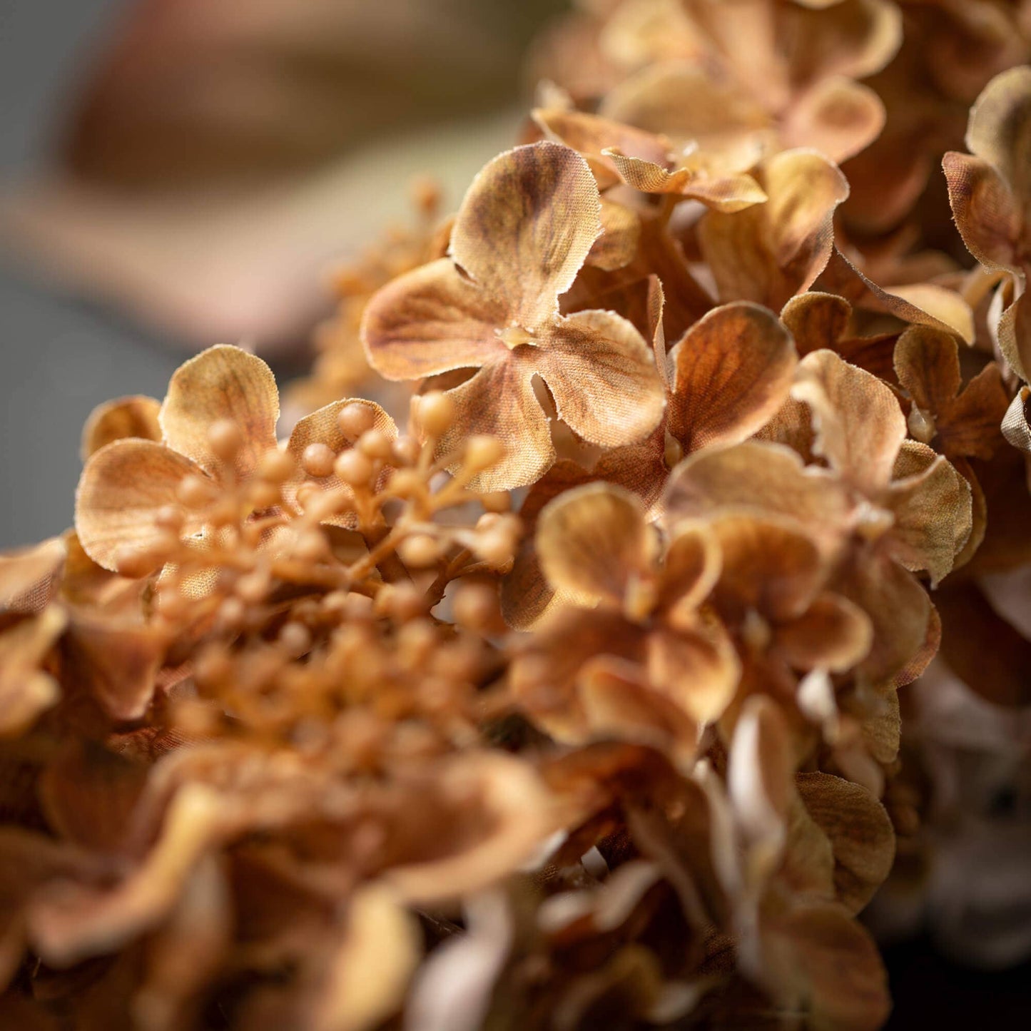 Hydrangea Spray