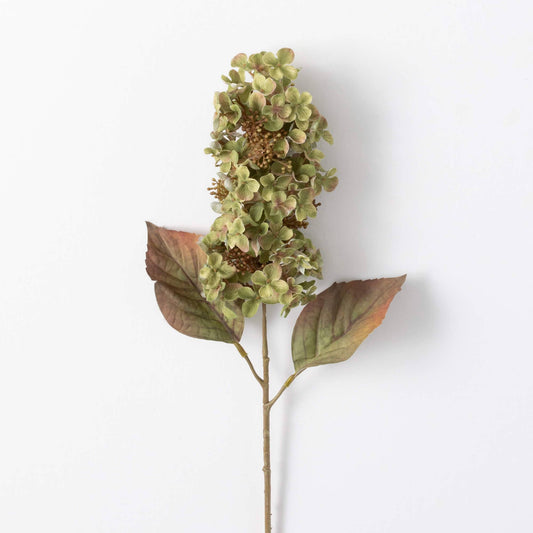 Hydrangea Spray