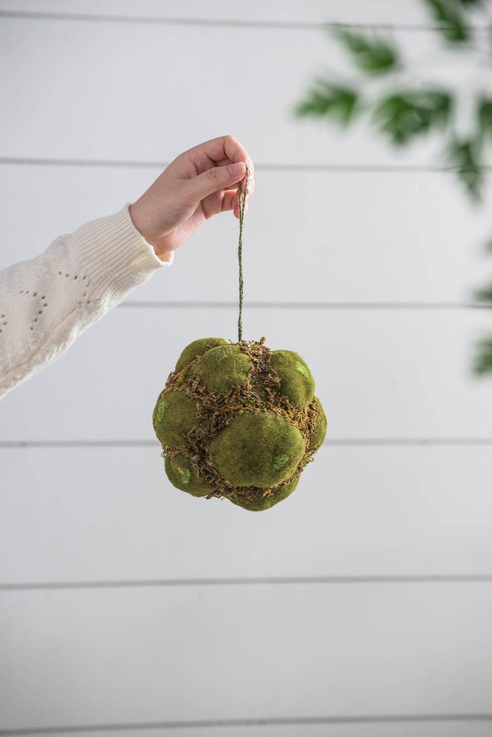 Textured Moss Ball