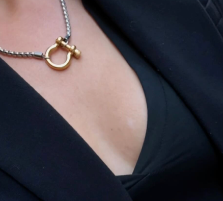 Carabiner horse Bit- Charm-Wheat Chain Stainless Necklace: Two Tone