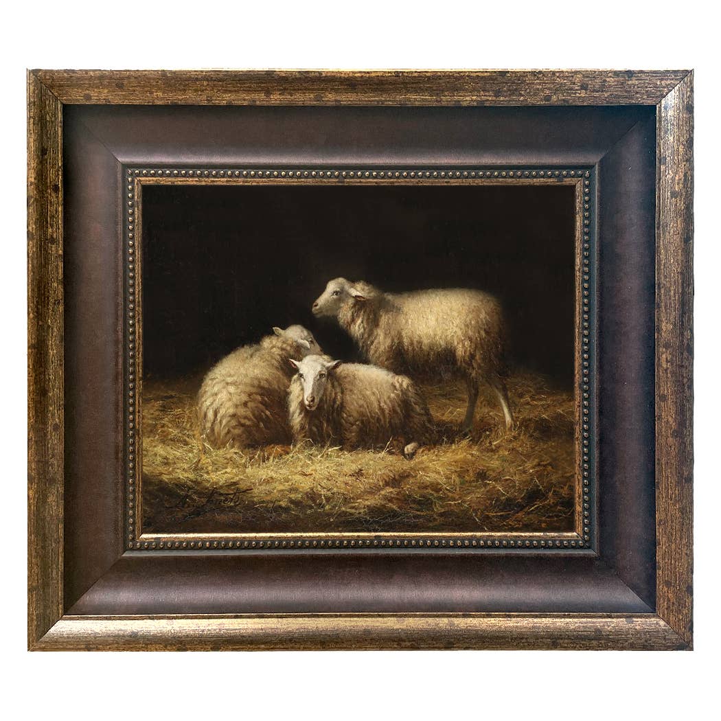 Sheep in the Hay Framed Painting Print on Canvas: Black Distressed / 8" x 10"