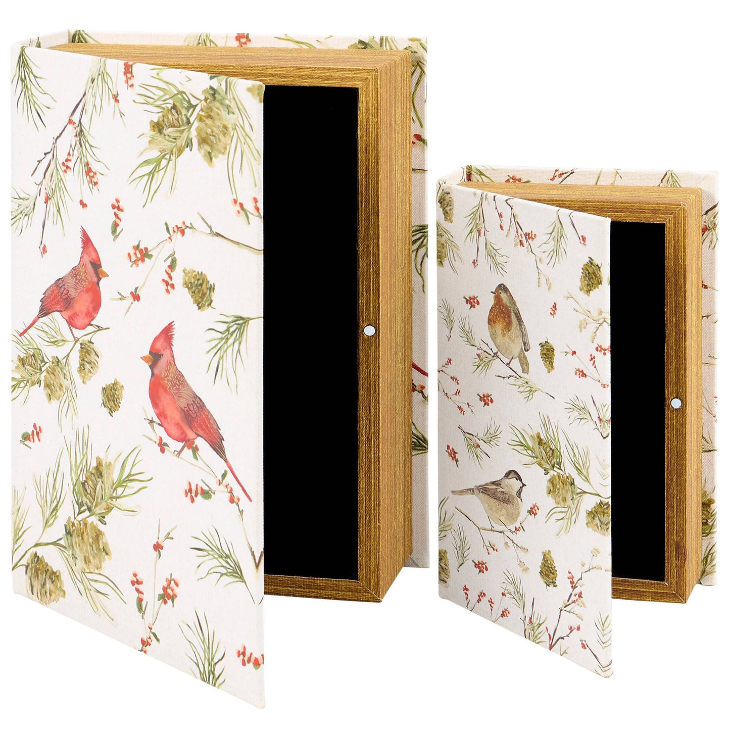 Memories Book Box Set