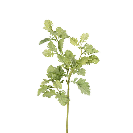 Natural Dusty Miller Branch - 40 Inch