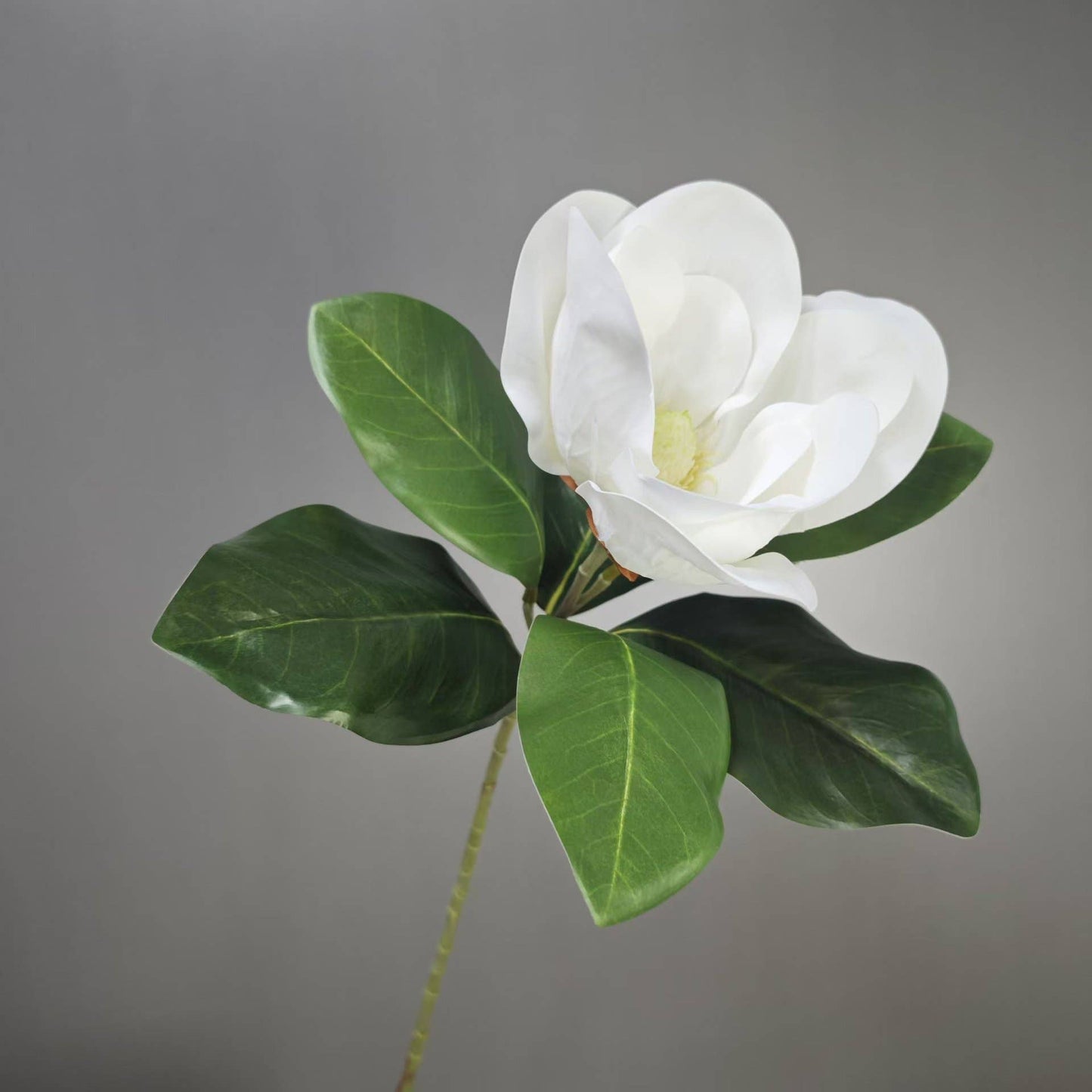 Realistic 6-8"Large bloom Magnolia Flower with Leaves: 15.75"Long