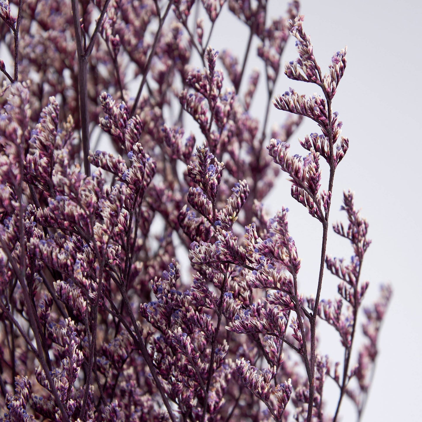 Purple Caspia Bouquet