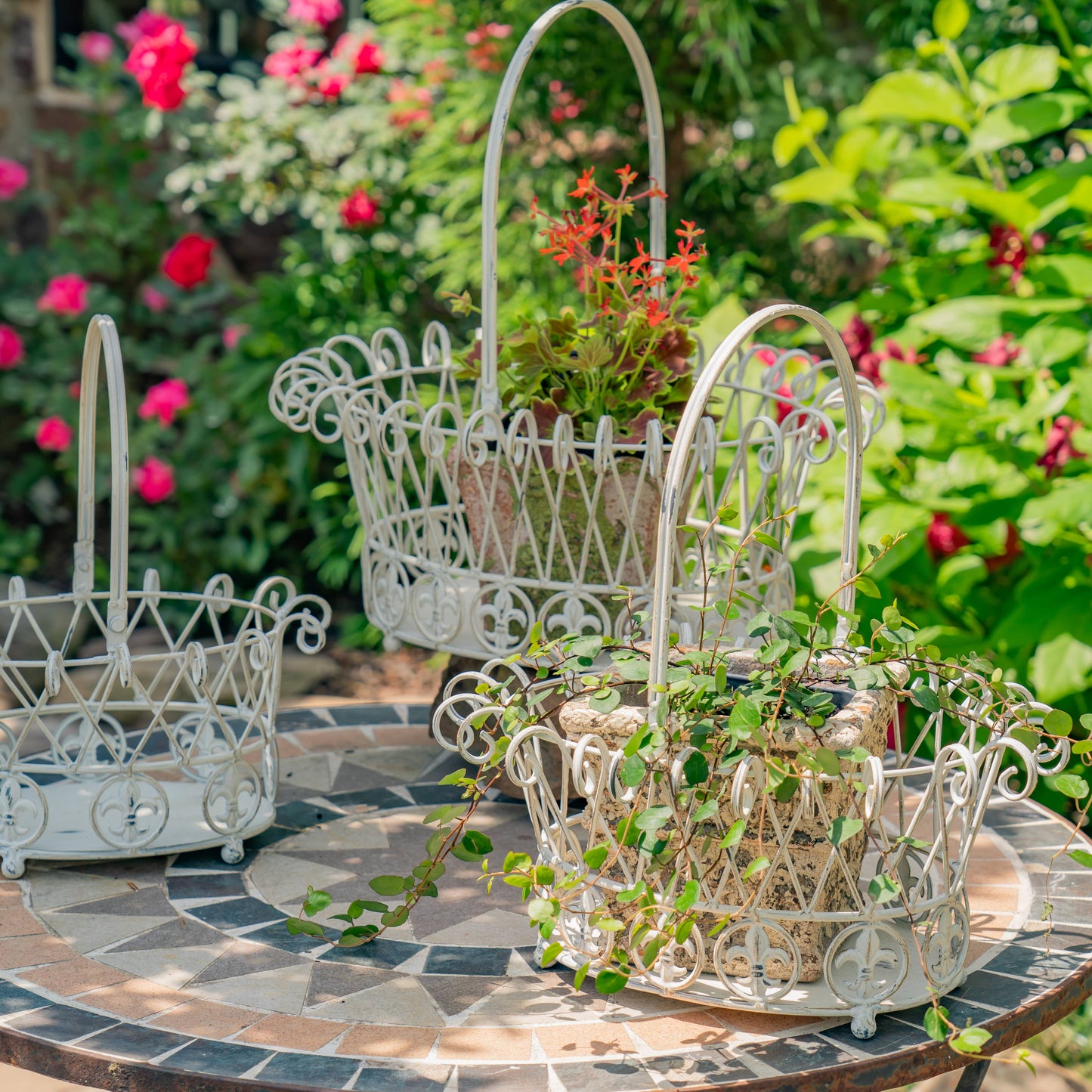 Decorative Garden Baskets Metal Wire- 3PC/Set - Options: Verdi Green