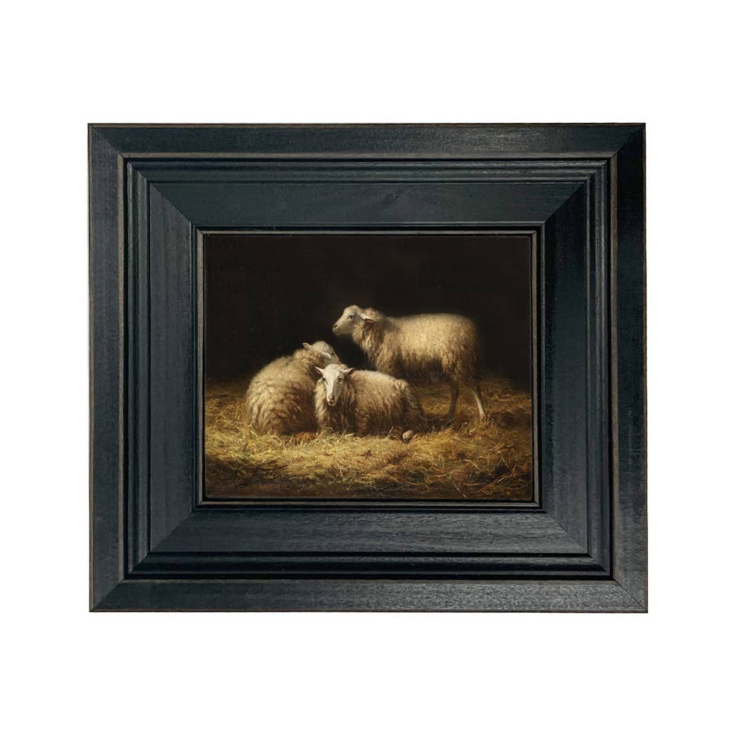 Sheep in the Hay Framed Painting Print on Canvas: Black Distressed / 5" x 6"