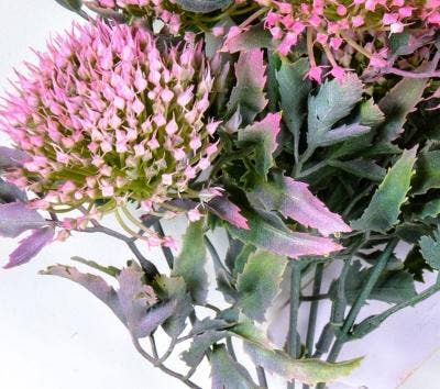 Wild Onion Bunch, 12in, Pink