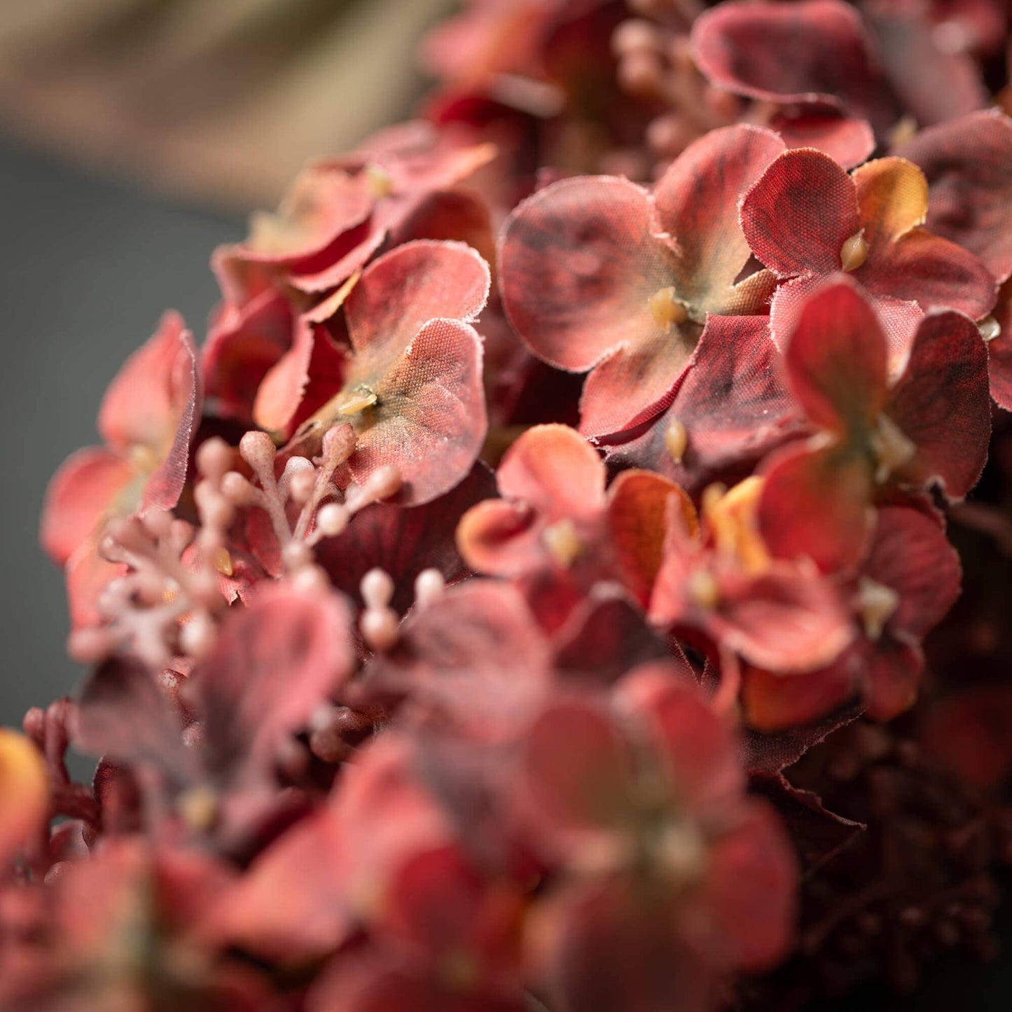 Hydrangea Spray