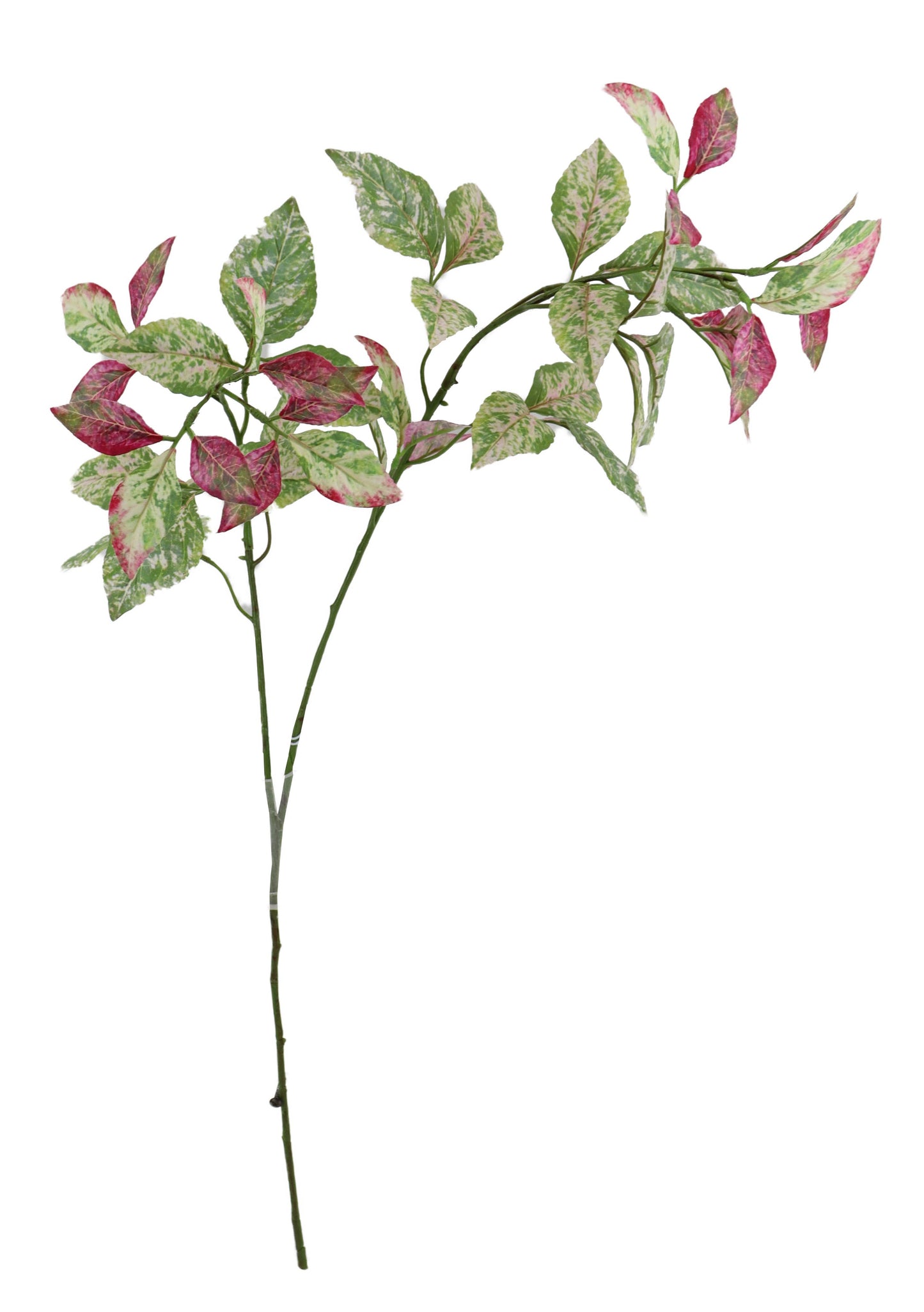 CAPSICUM LEAVES SPRAY X2, 31", GREEN/BEAUTY