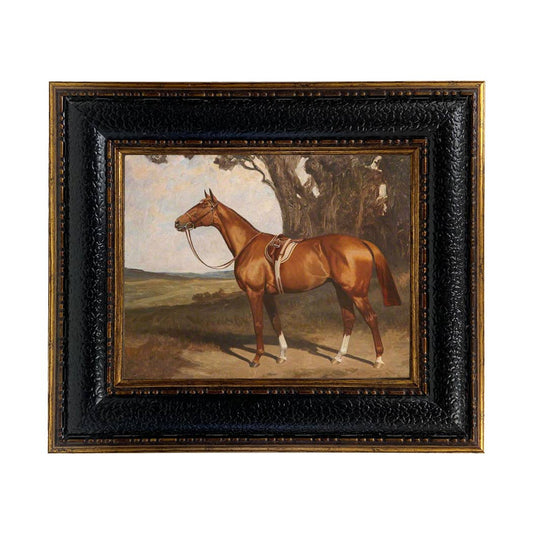 Saddled Chestnut Race Horse Framed Painting Print on Canvas