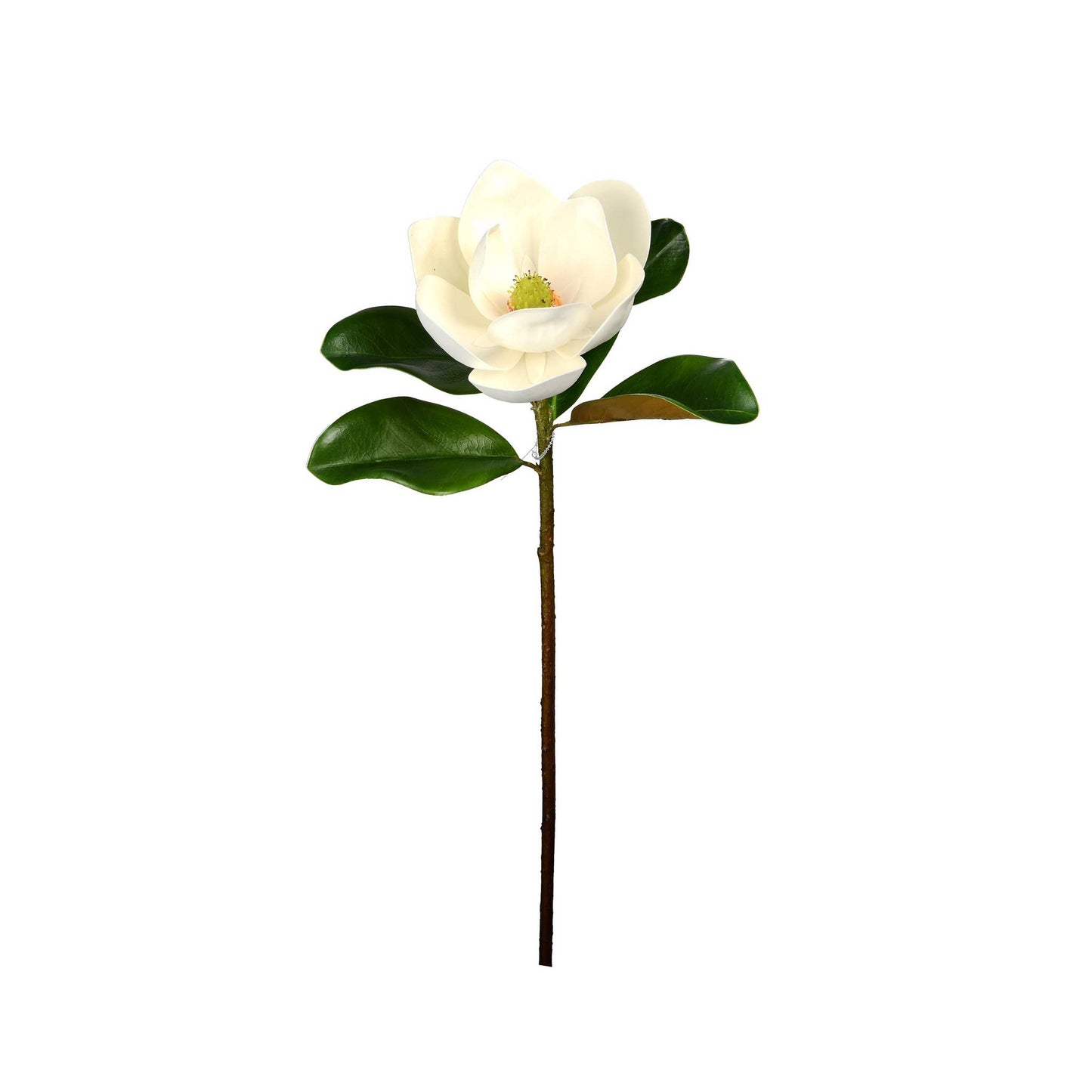 Magnolia Flower Stem - 23 Inch