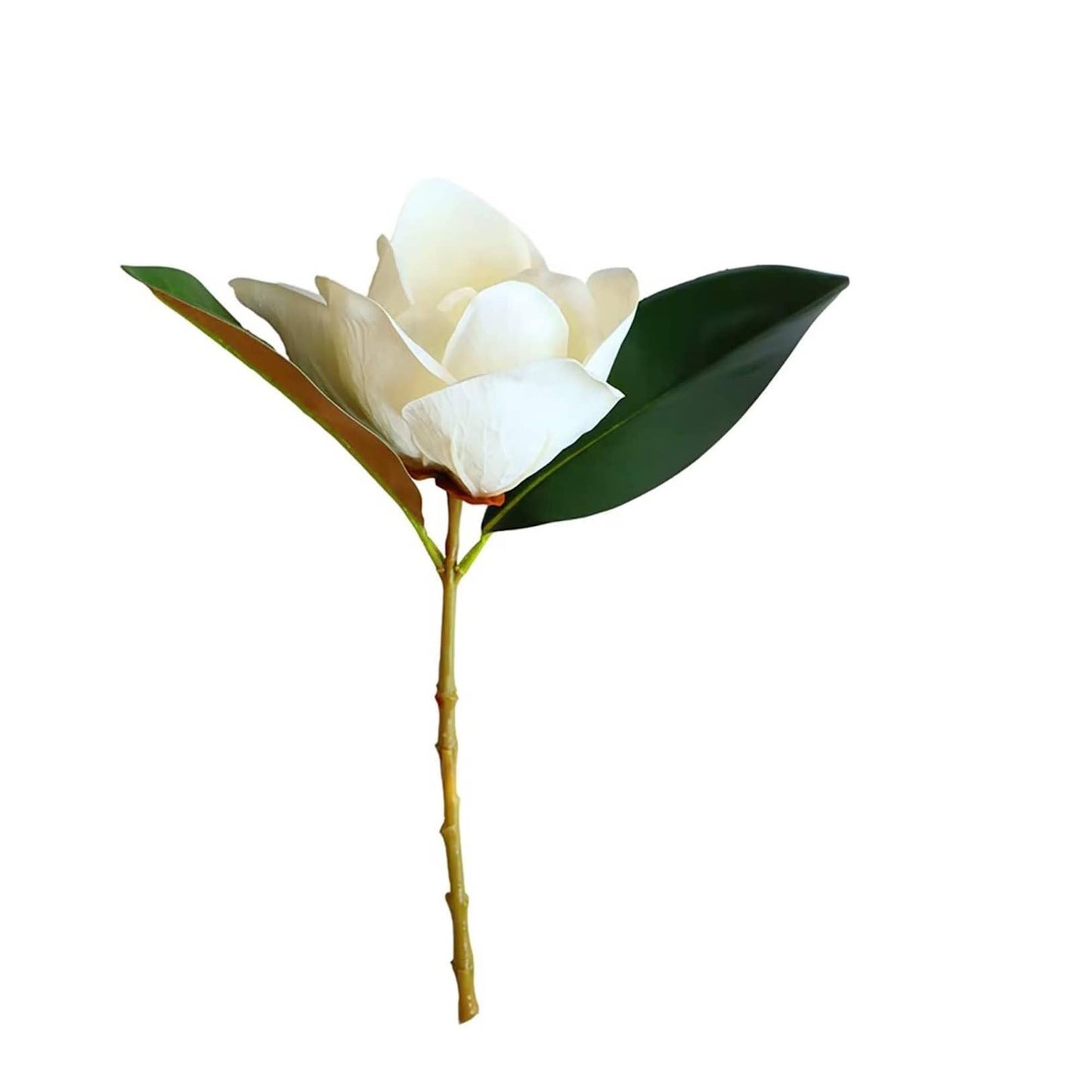 Realistic 6-8"Large bloom Magnolia Flower with Leaves: 15.75"Long