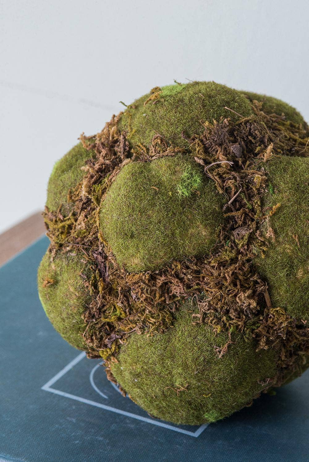 Textured Moss Ball