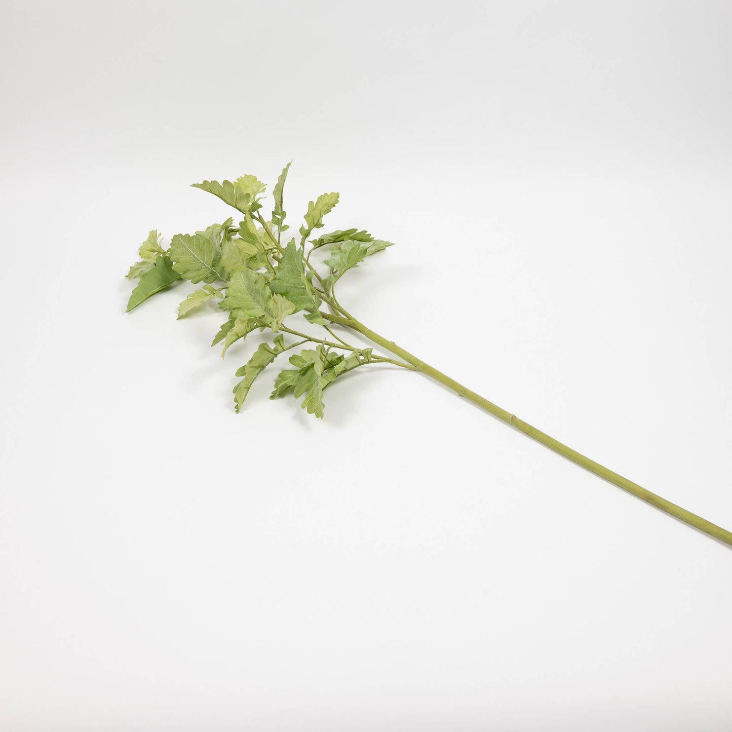 Natural Dusty Miller Branch - 40 Inch