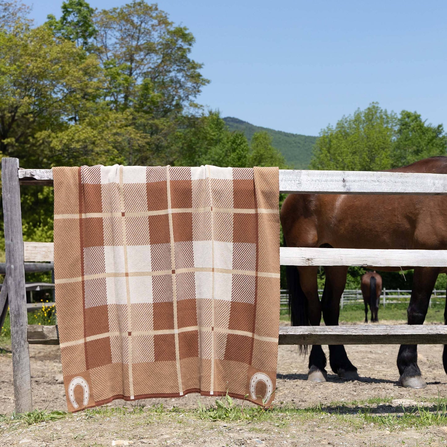 Cotton Sustainable Knit Stripe Throw Blanket - Equestrian Barn Plaid: Green