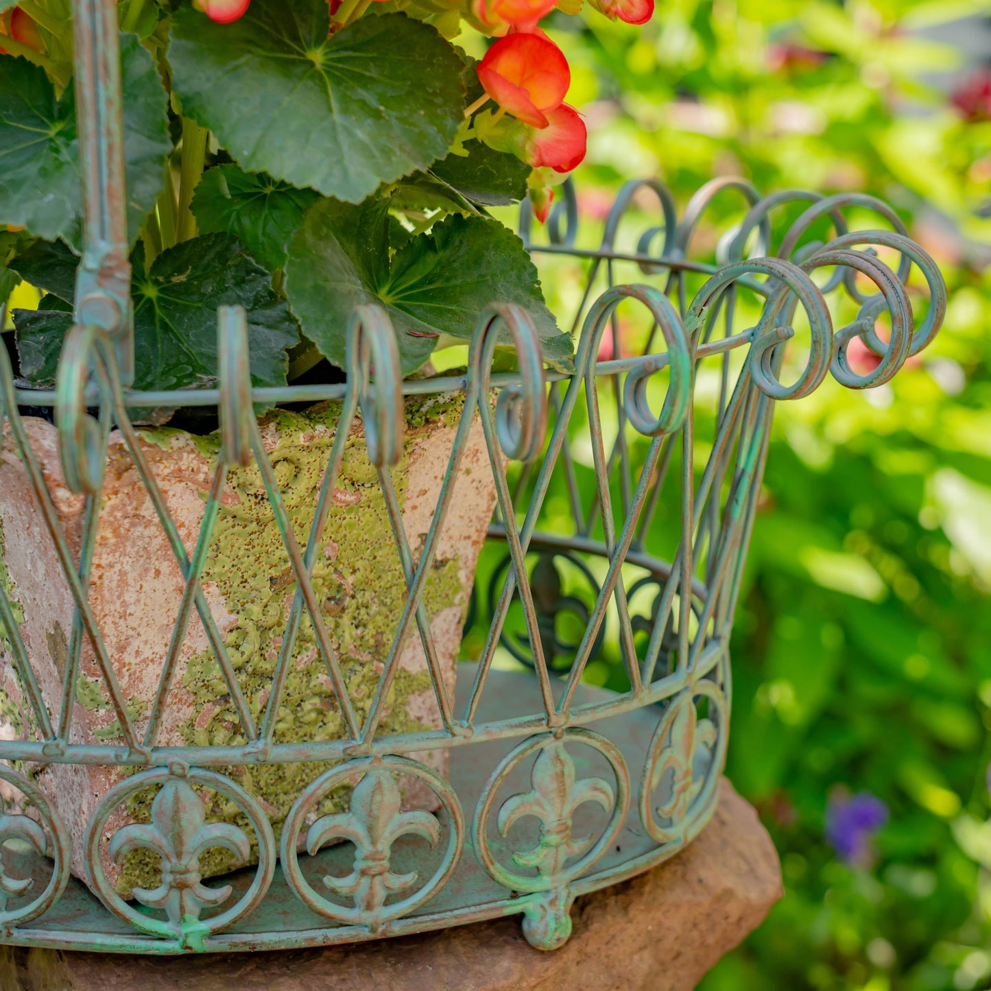 Decorative Garden Baskets Metal Wire- 3PC/Set - Options: Verdi Green