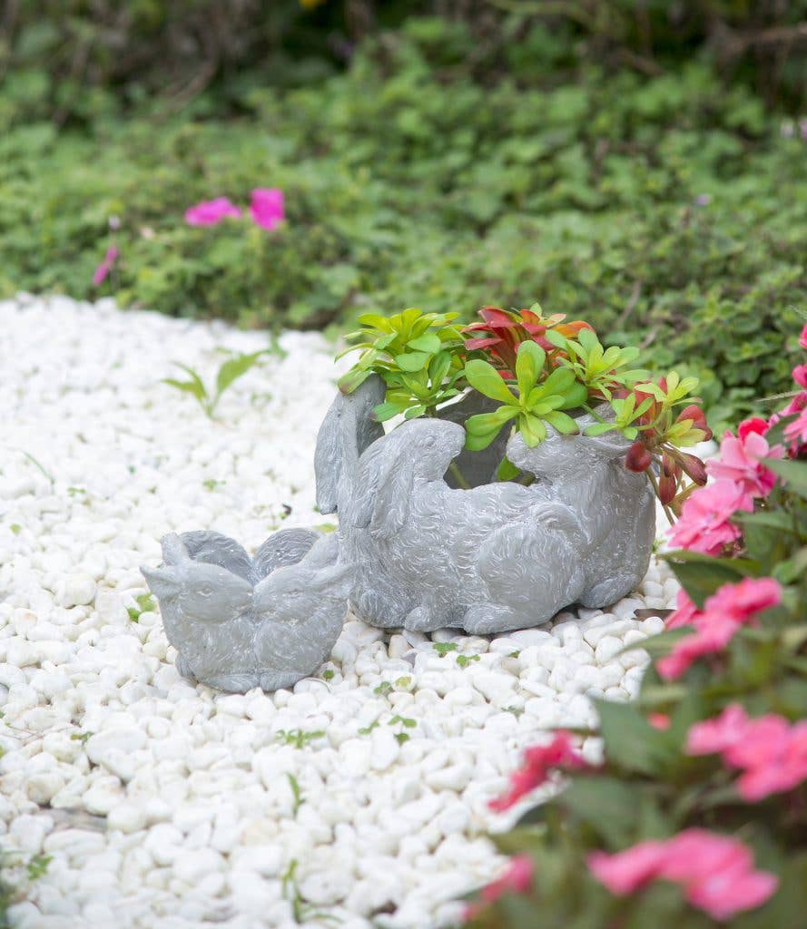 6.5x5x4.5" 2 Bunny Planter 2EA/CTN