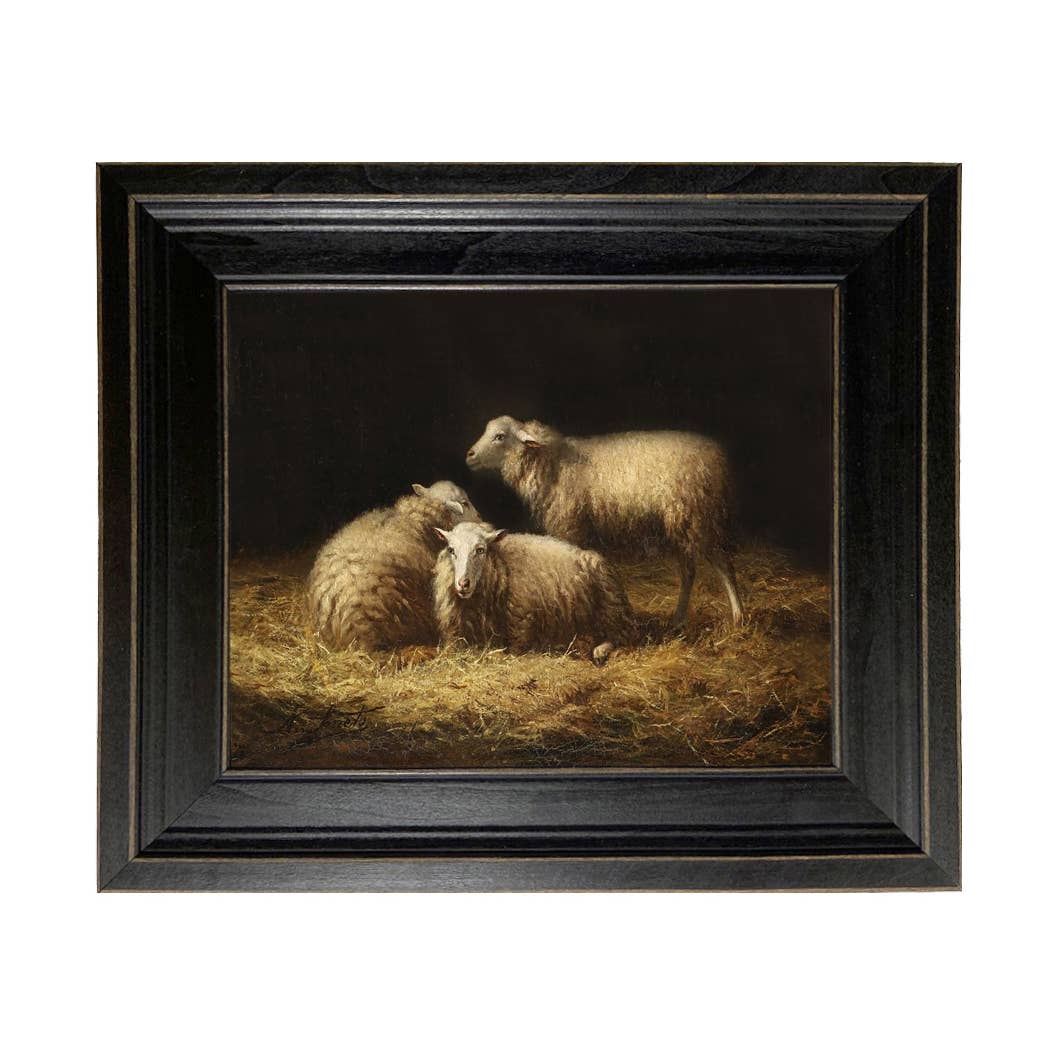 Sheep in the Hay Framed Painting Print on Canvas: Black Distressed / 8" x 10"