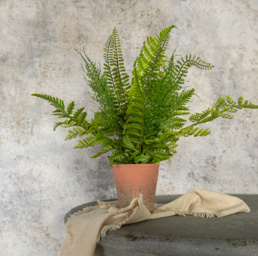 15" POTTED FERN