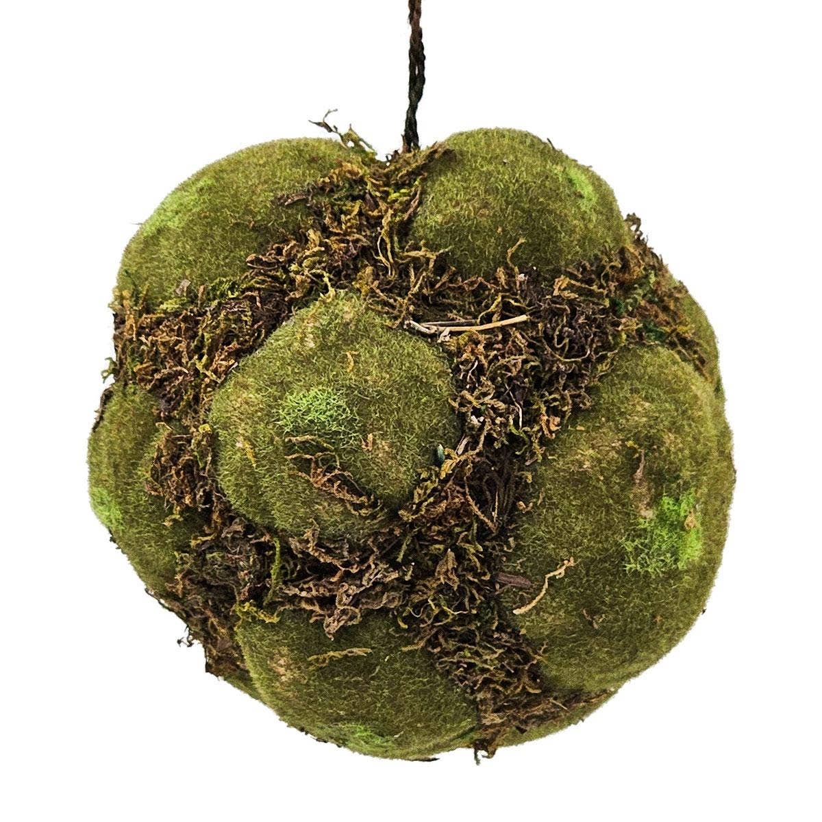 Textured Moss Ball