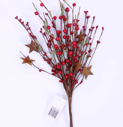 Mixed Berry Pick W/Leaves & Rust Stars, Hw, 13In