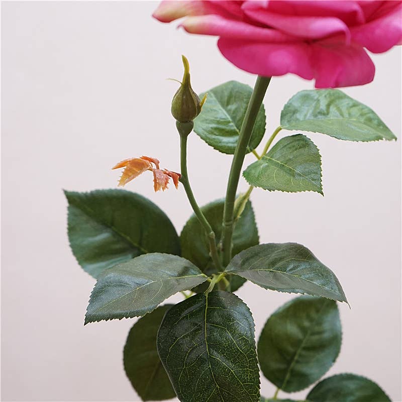 27"-Lux Faux Juliet Rose-Moisturizing Finish-5"Bloom: White Cream