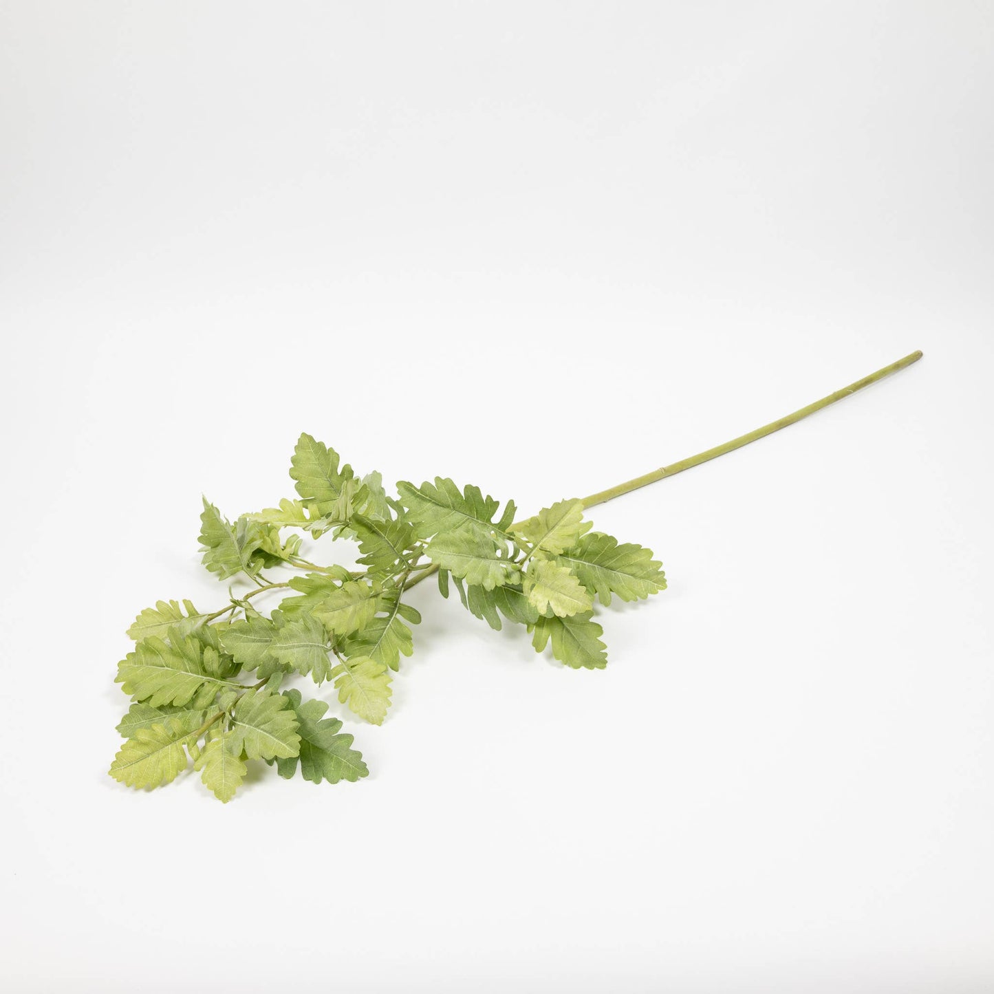 Natural Dusty Miller Branch - 40 Inch