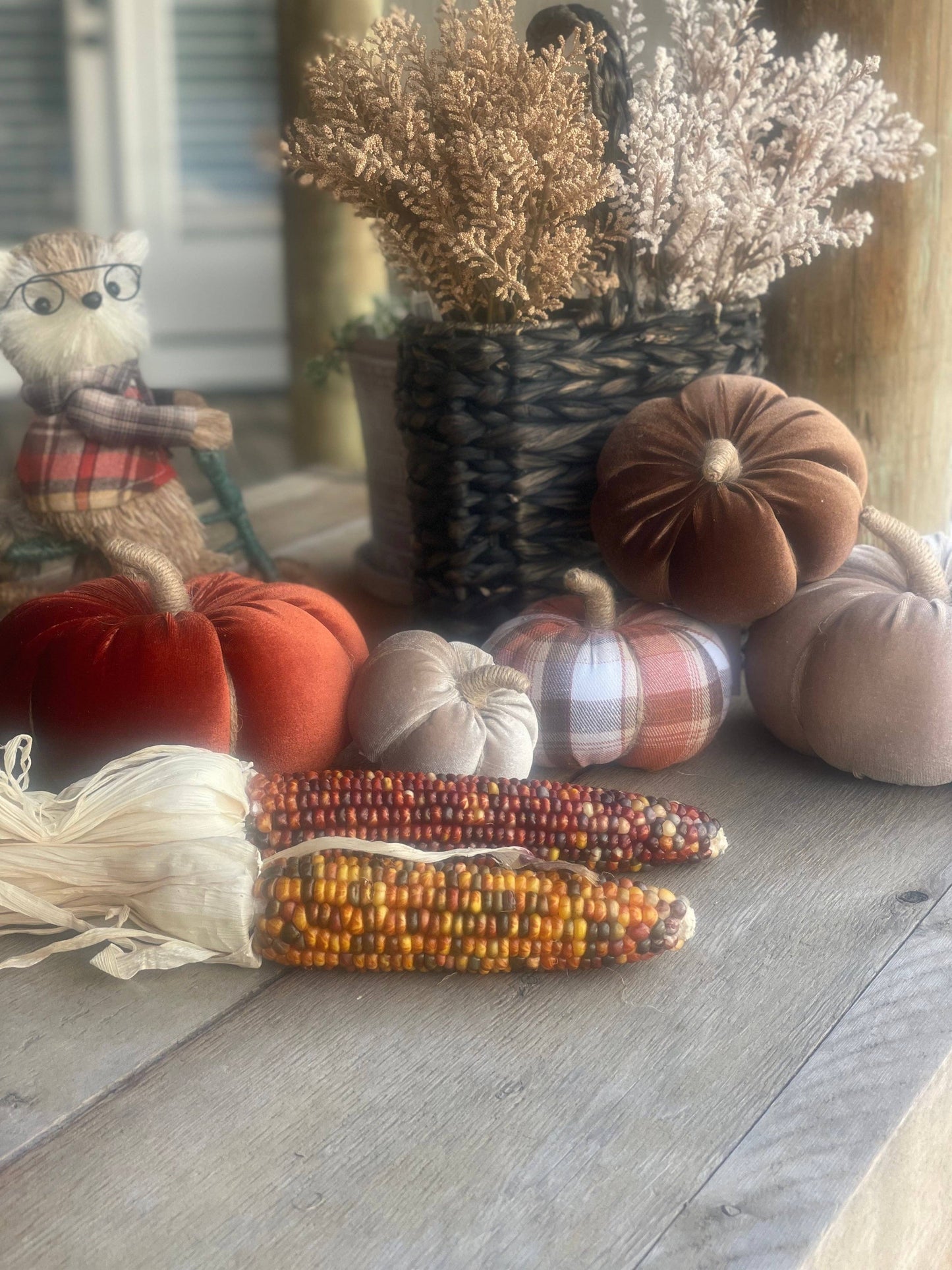 CF-3125 - Lrg. Walnut Velvet Fall Pumpkin