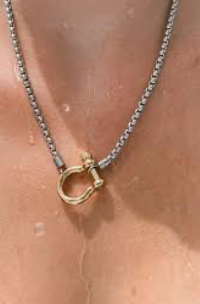 Carabiner horse Bit- Charm-Wheat Chain Stainless Necklace: Two Tone