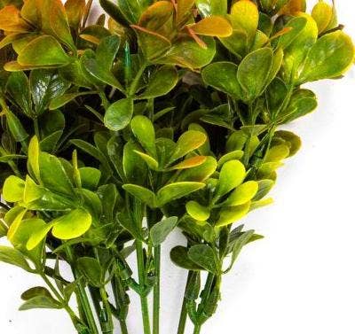 Foliage Bunch, 12 In, Green