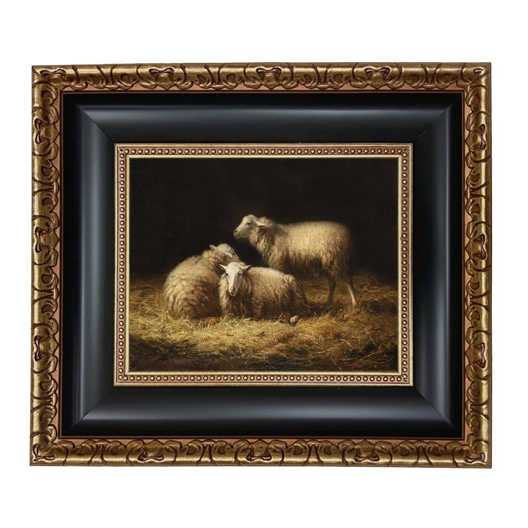 Sheep in the Hay Framed Painting Print on Canvas: Black Distressed / 8" x 10"