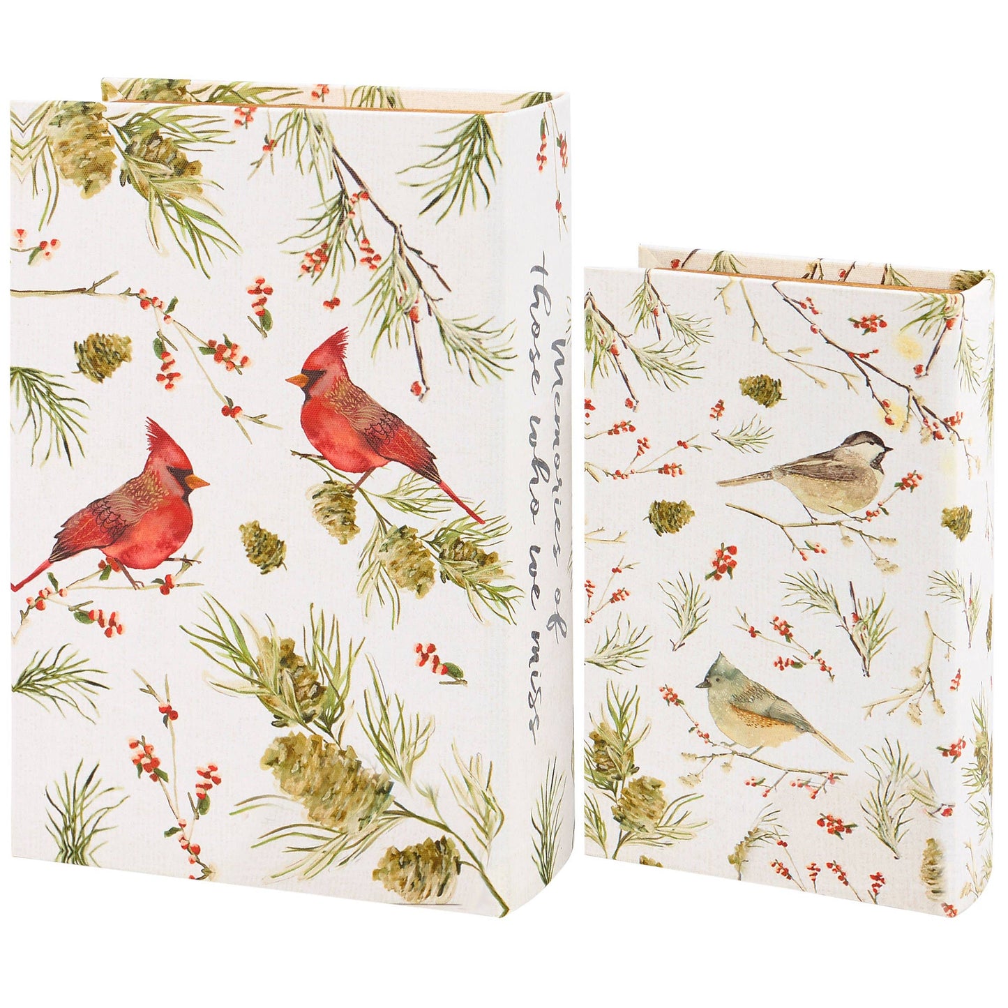 Memories Book Box Set