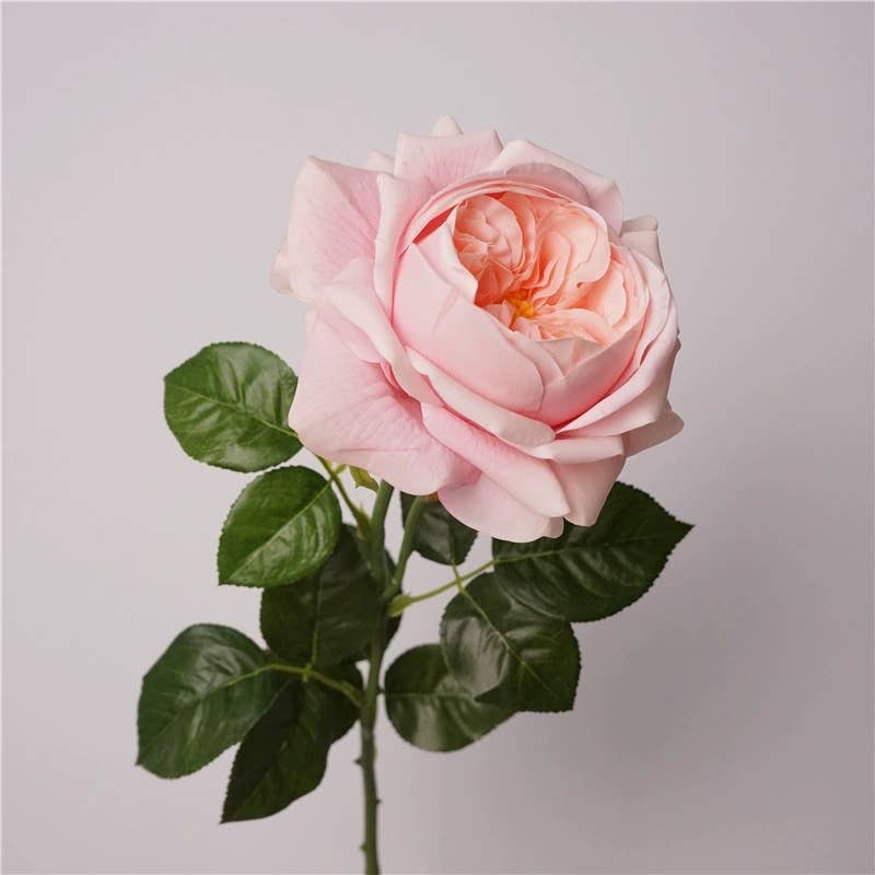 27"-Lux Faux Juliet Rose-Moisturizing Finish-5"Bloom: White Cream