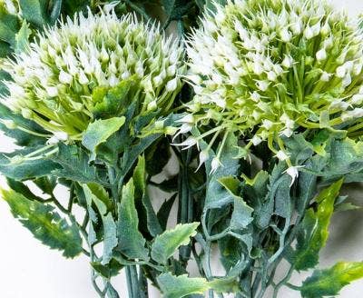 Wild Onion Bunch, 12in, White